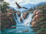 Sung Paintings - Soaring Eagle by Sung Kim